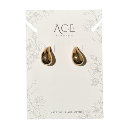 S925 Drip Shape Earrings